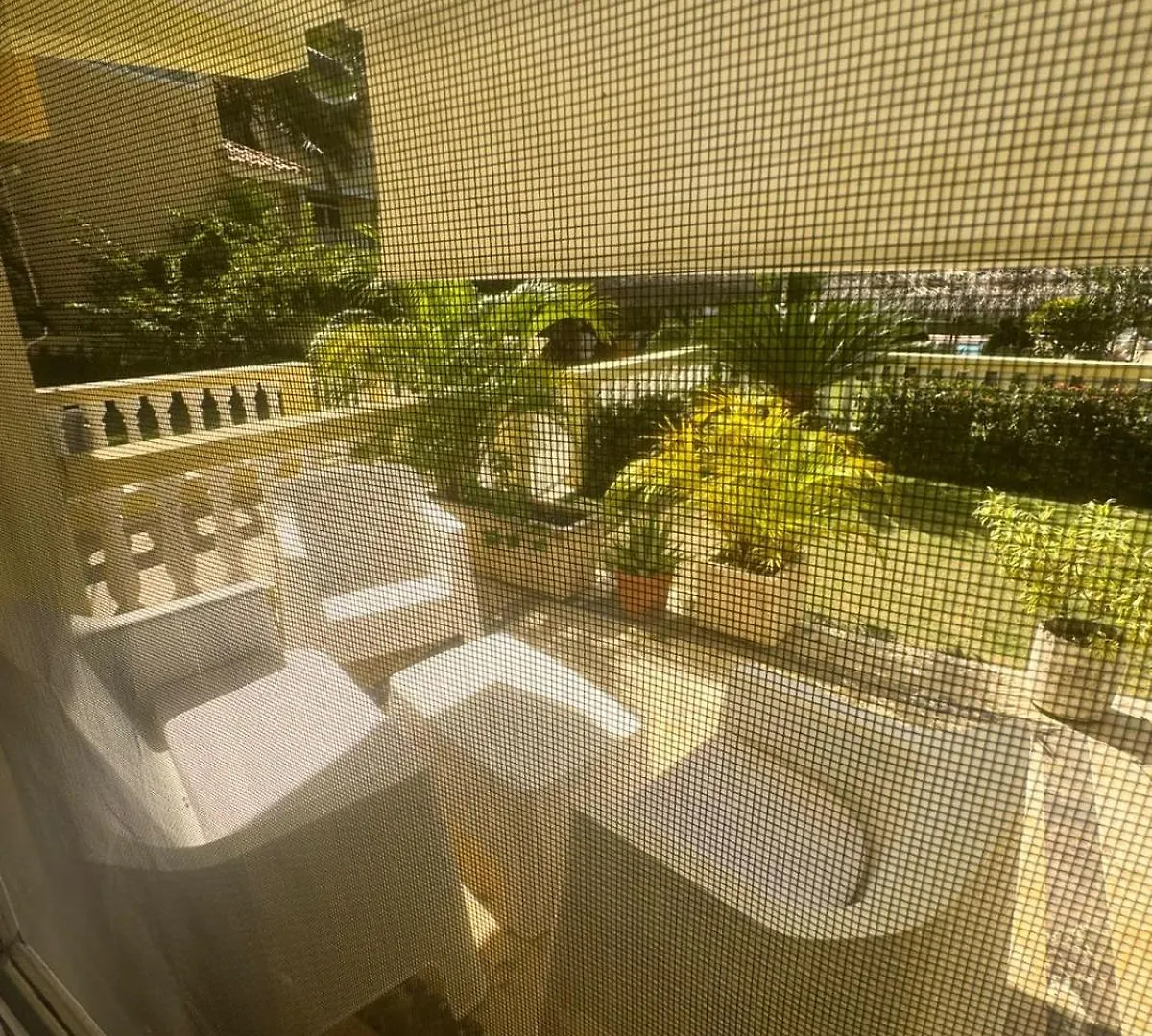 Las Palmeras By Graziano Boca Chica Resort
