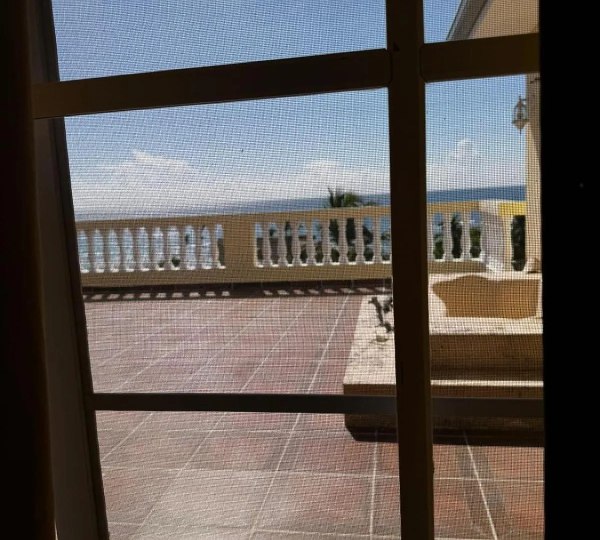 Las Palmeras By Graziano Boca Chica República Dominicana